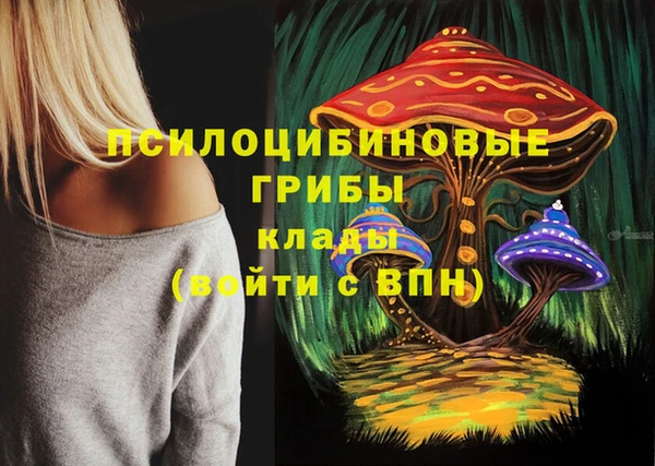spice Балабаново