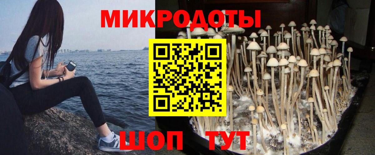 Галлюциногенные грибы мухоморы Соль-Илецк