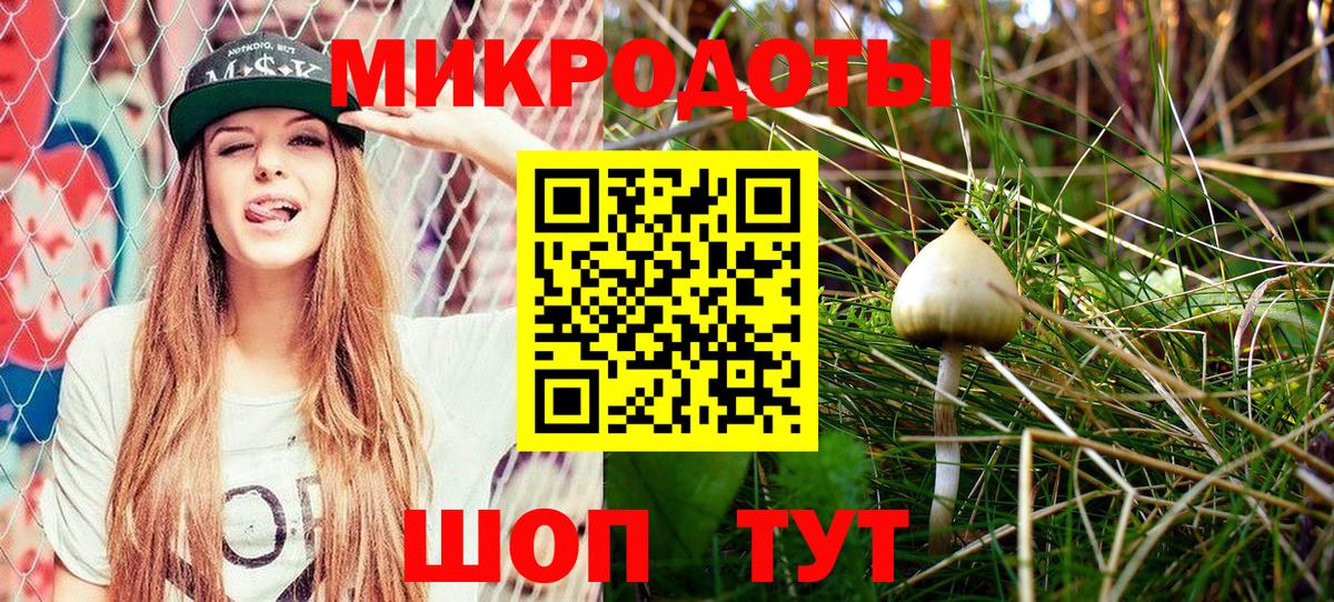 Галлюциногенные грибы мухоморы  Галлюциногенные грибы Psilocybe  Вход с VPN  наркотики  Соль-Илецк 